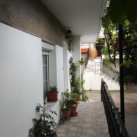 Big Apartment Near Olympus Mountain Литохоро Экстерьер фото