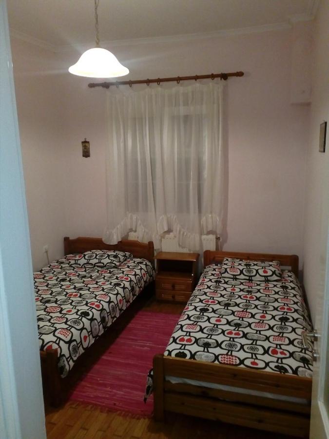 Big Apartment Near Olympus Mountain Литохоро Экстерьер фото