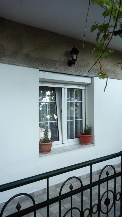 Big Apartment Near Olympus Mountain Литохоро Экстерьер фото